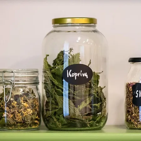 Jane's Place, Experience The Atmosphere Of A Historic & Free Parking Lejlighed