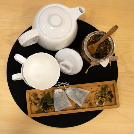 Jane's Place, Experience The Atmosphere Of A Historic & Free Parking Λιουμπλιάνα