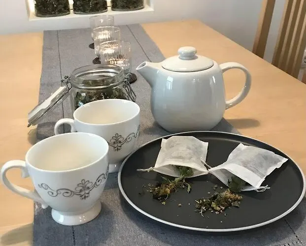 Jane's Place, Experience The Atmosphere Of A Historic & Free Parking Lublaň