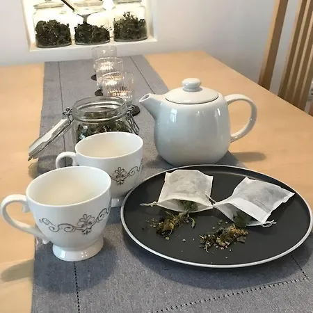 Jane's Place, Experience The Atmosphere Of A Historic & Free Parking Lubiana