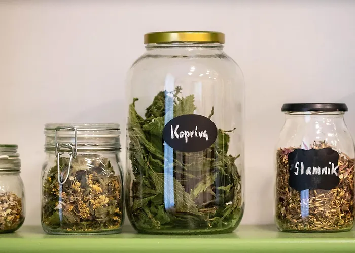 Jane's Place, Experience The Atmosphere Of A Historic & Free Parking דירה